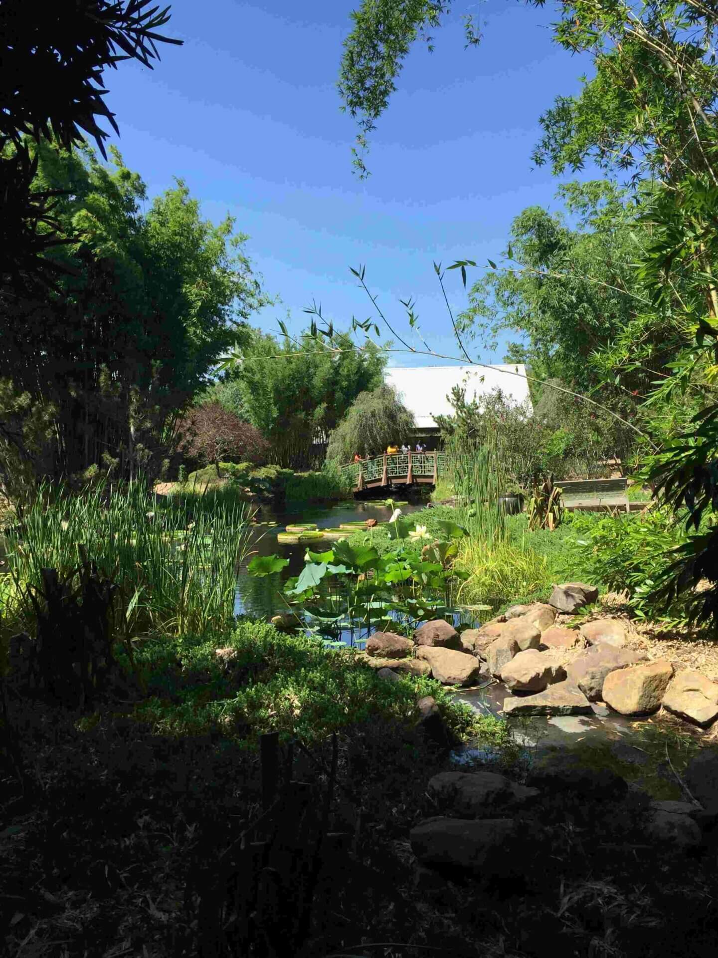 f0636ef6a527aab780760f8a3d62e313acb99b9e